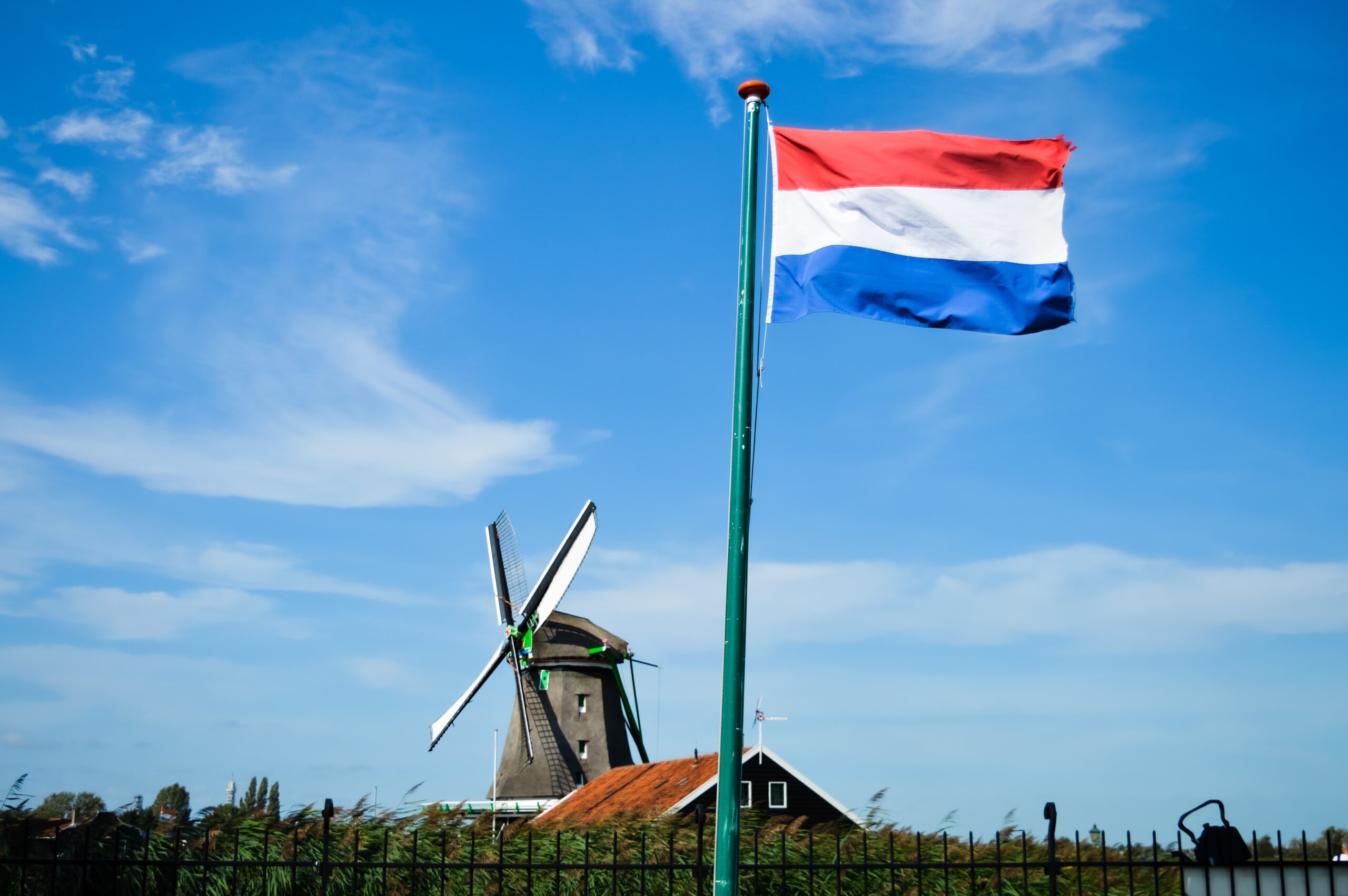 An Outsider’s View on the Dutch Pension Reform